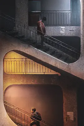 海葵