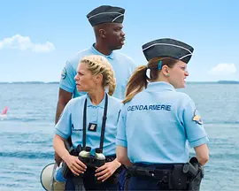L'Année du requin