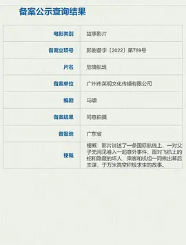 危情航班