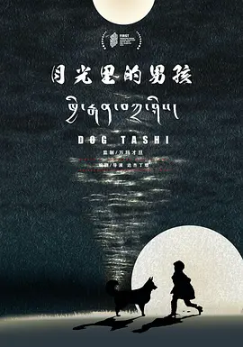 月光里的男孩