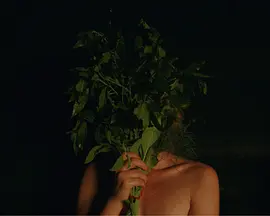 烟熏桑拿姐妹情