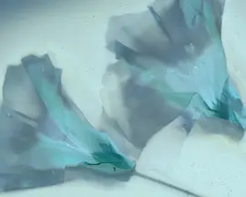 漫天花雨