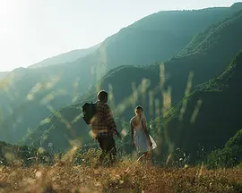 Ovuda ce proci put