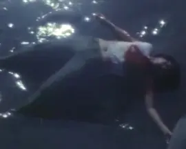 National Anarchist: Lino Brocka