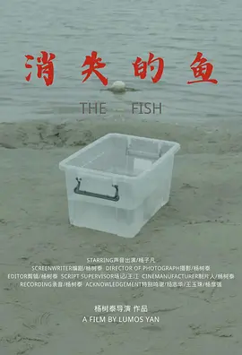 消失的鱼