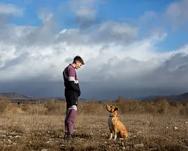 Chien de la casse