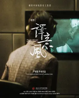 听野：译意风