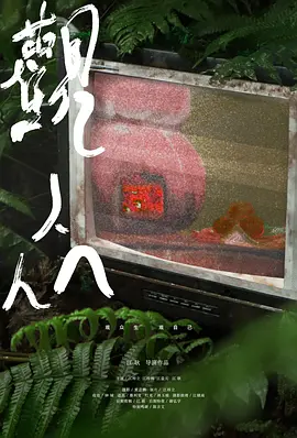 观众