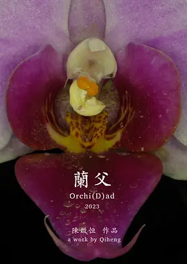 兰父