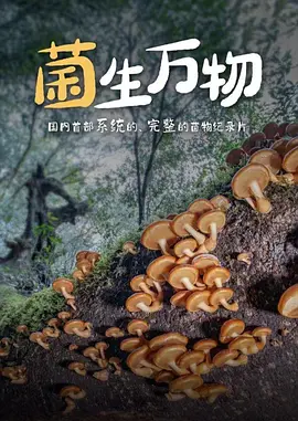 菌生万物