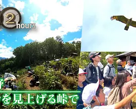 ドキュメント72時間：長野 タカを見上げる峠で
