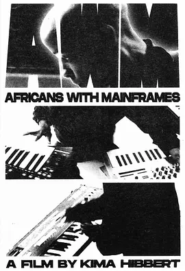 Africans With Mainframes