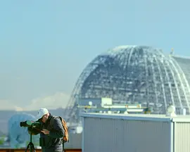 The Signal Line