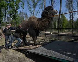 Checkpoint Zoo