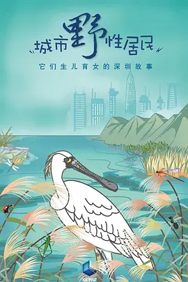 城市野性居民