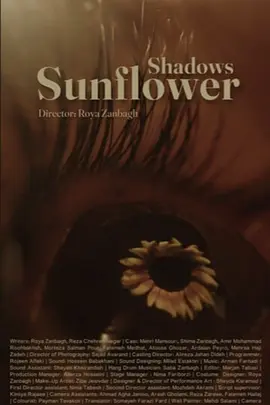 Sunflower Shadows