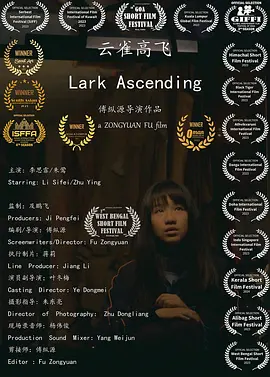 云雀高飞