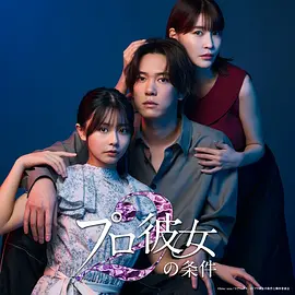职业女友的条件 第二季