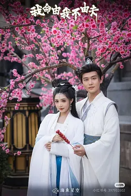 我命由我不由夫