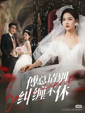 傅总请别纠缠不休