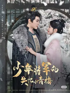 少年将军的失忆小青梅