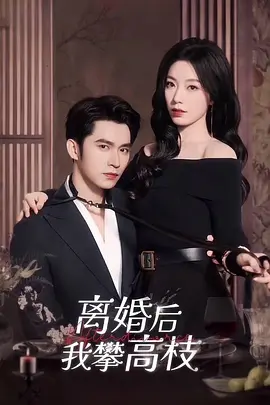 离婚后我攀高枝