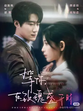 等你，在玫瑰盛开时