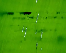 词藻飞回大地深处