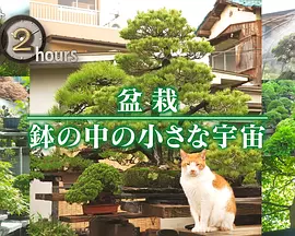 ドキュメント72時間：盆栽 小さな鉢の中の宇宙