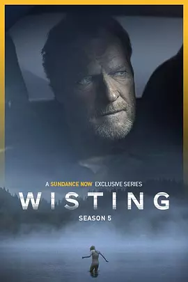 警探维斯廷 第5季