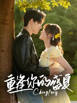 重逢你的盛夏