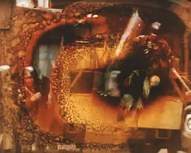 去年五月在影院