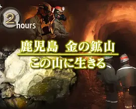 纪实72小时：鹿儿岛 在金矿谋生
