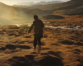 枯木上的乌尔朵