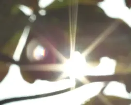 你的太阳像颗星