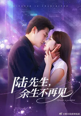 陆先生，余生不再见